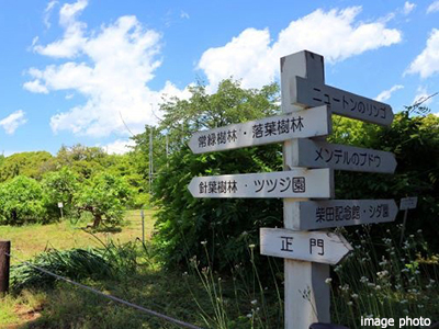 小石川植物園｜ザ・パークハウス小日向